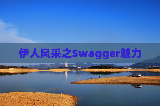 伊人风采之Swagger魅力