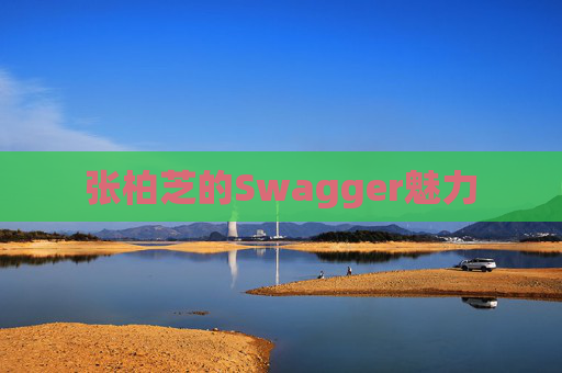 张柏芝的Swagger魅力